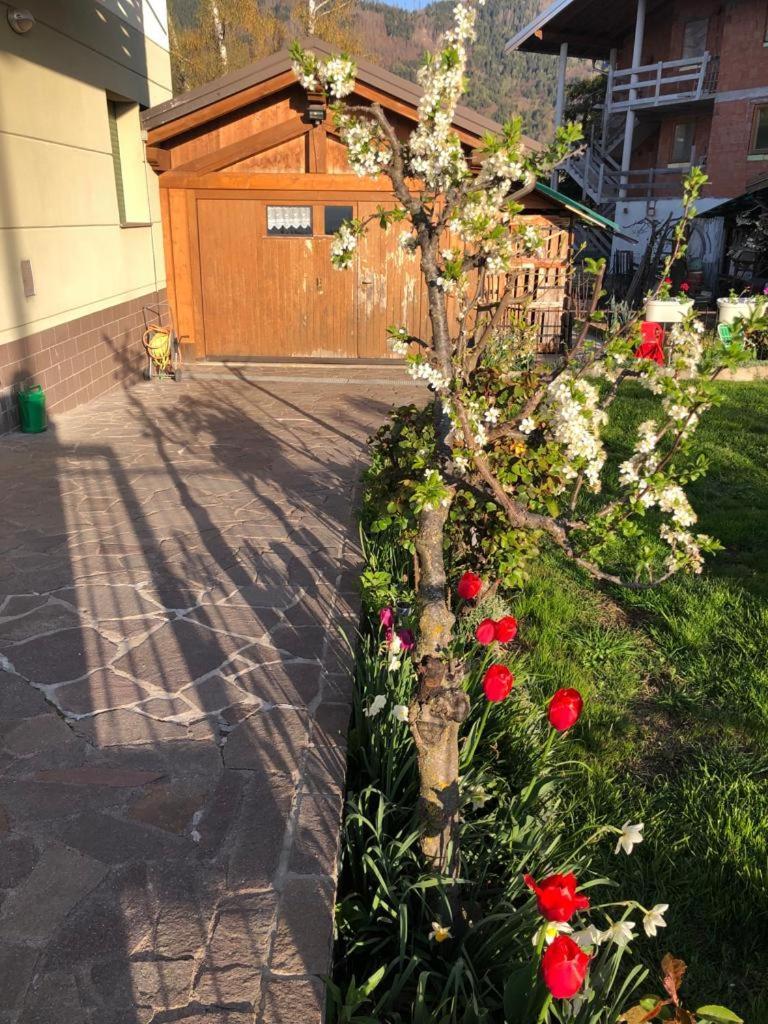 Appartamento Luminoso, Giardino, Vista Dolomiti. Baselga di Pinè Zewnętrze zdjęcie