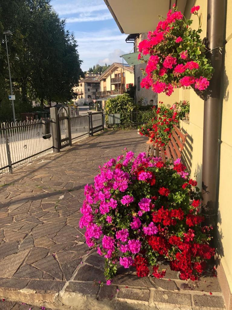 Appartamento Luminoso, Giardino, Vista Dolomiti. Baselga di Pinè Zewnętrze zdjęcie